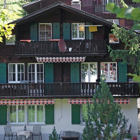 Apartment Chalet Spassvogel By Interhome กรินเดลวัลด์ ภายนอก รูปภาพ