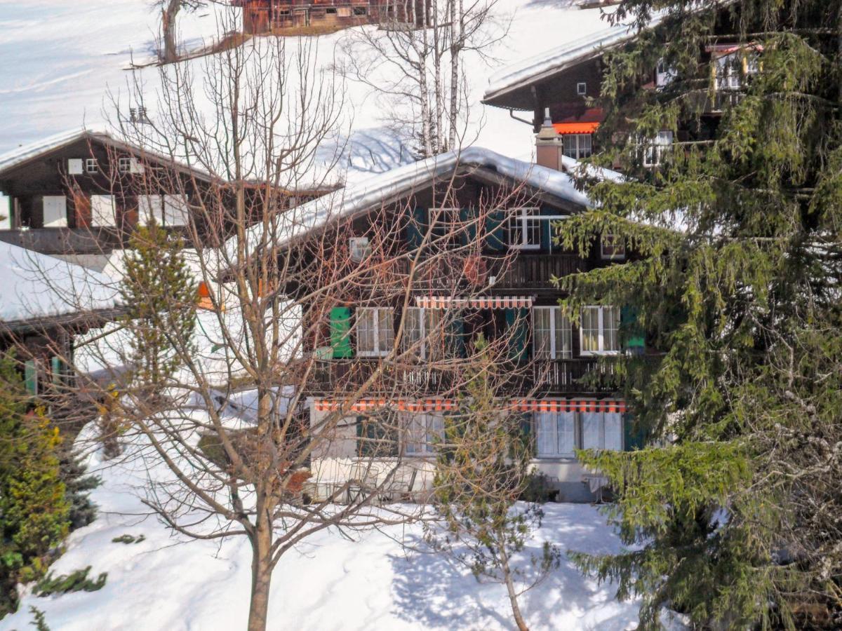 Apartment Chalet Spassvogel By Interhome กรินเดลวัลด์ ภายนอก รูปภาพ